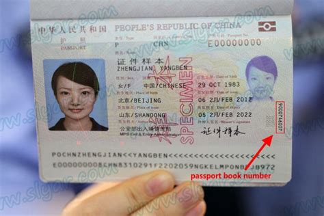 chinese commercial code numbers|ds 160 form.